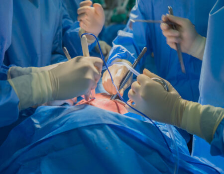Sélectionner Transplantation : Faire battre un autre cœur… grâce à la loi Transplantation : Faire battre un autre cœur grâce à la loi